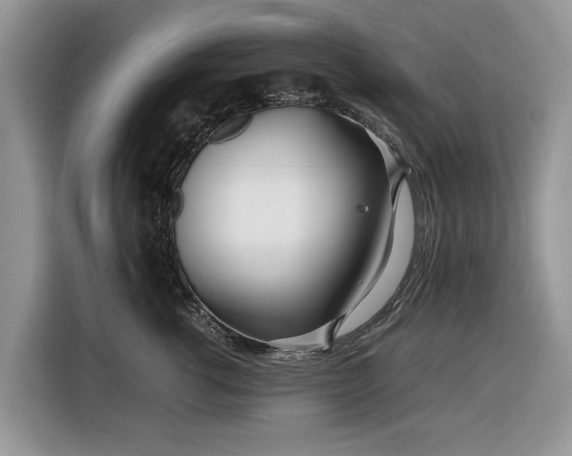 X0000116350762200912091129