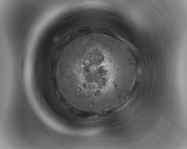 X0000116350765200912091129