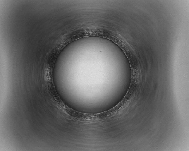 X0000116350770200912091129