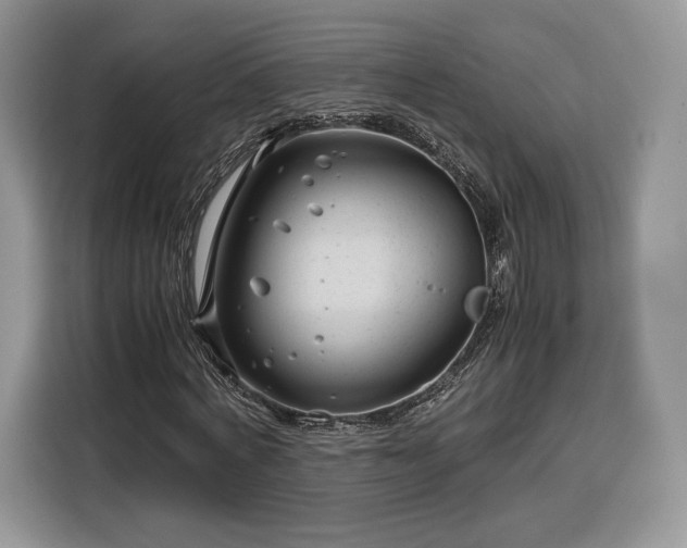 X0000116350772200912091129