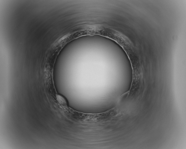 X0000116350773200912091129