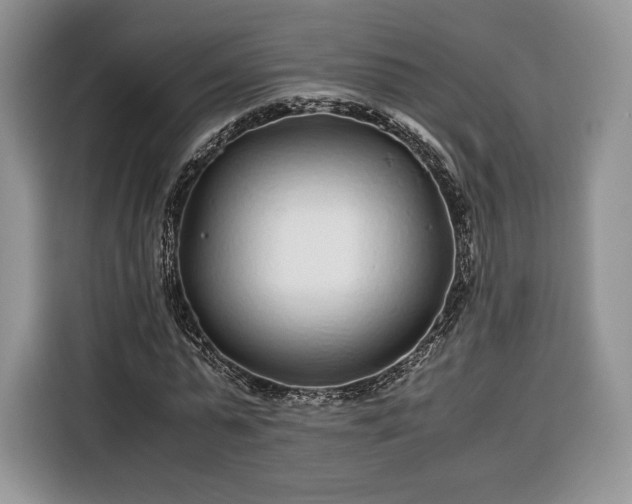 X0000116350775200912091129