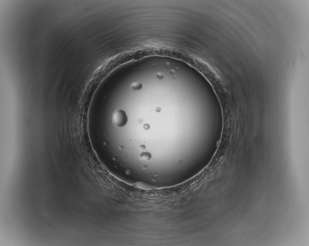 X0000116350776200912091129