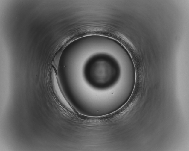 X0000116350777200912091129