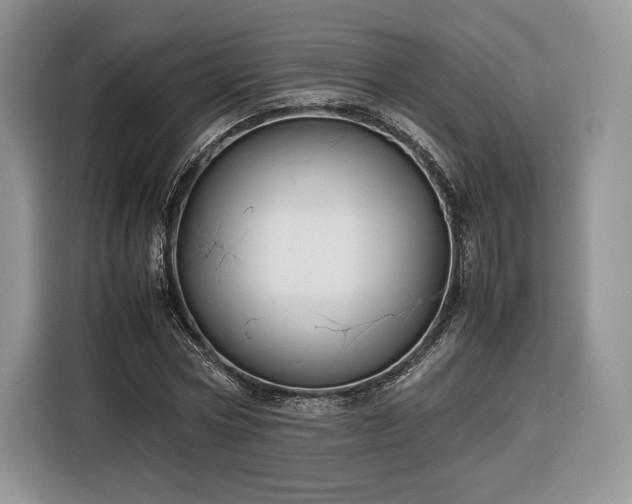 X0000116350778200912091129