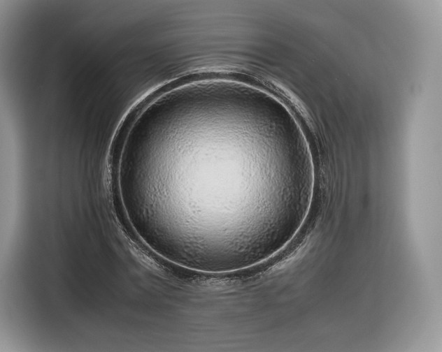 X0000116350779200912091129