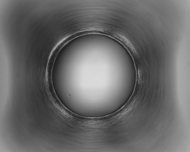 X0000116350780200912091129