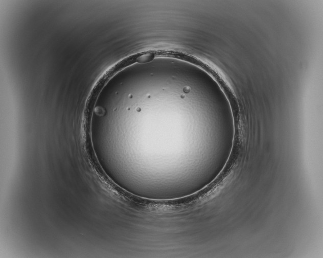 X0000116350783200912091129