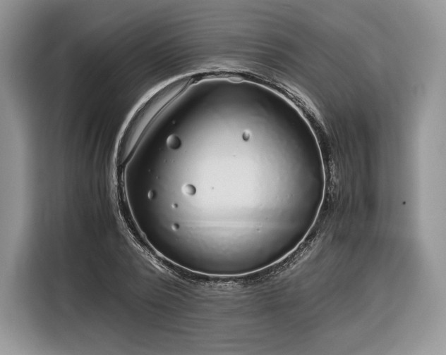 X0000116350784200912091129