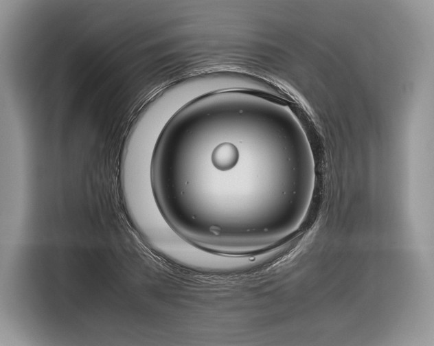 X0000116350785200912091129