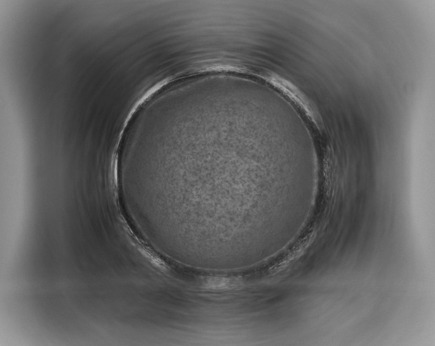 X0000116350790200912091129