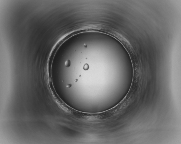 X0000116350792200912091129