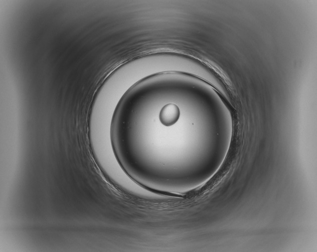 X0000116350793200912091129