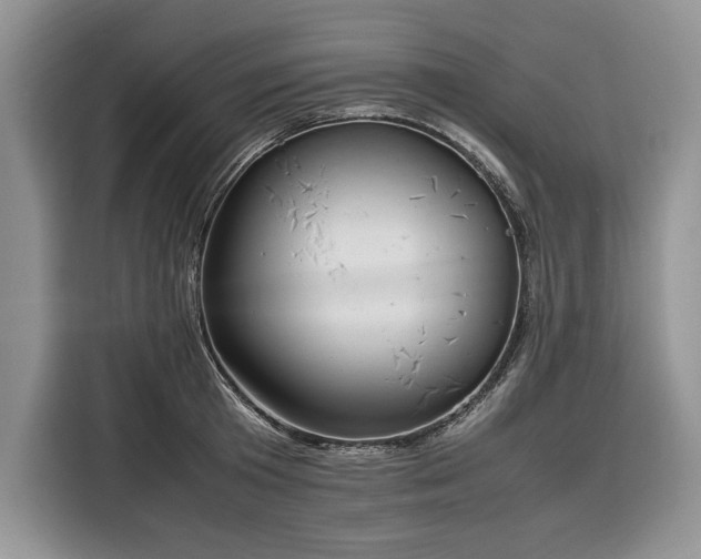 X0000116350801200912091128