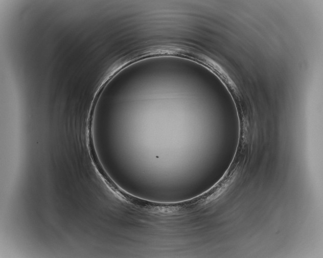 X0000116350802200912091128