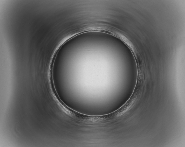 X0000116350803200912091128