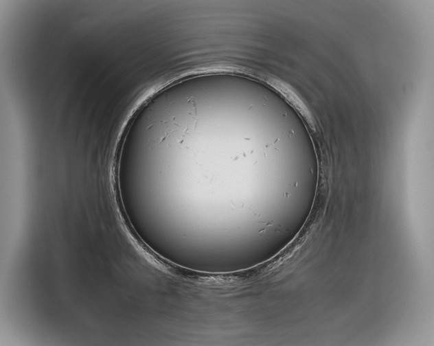 X0000116350805200912091128