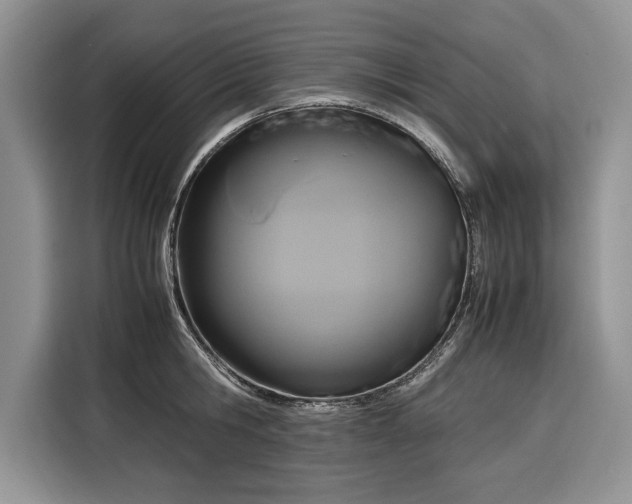 X0000116350806200912091128