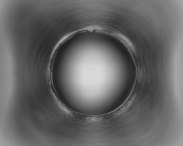 X0000116350808200912091128