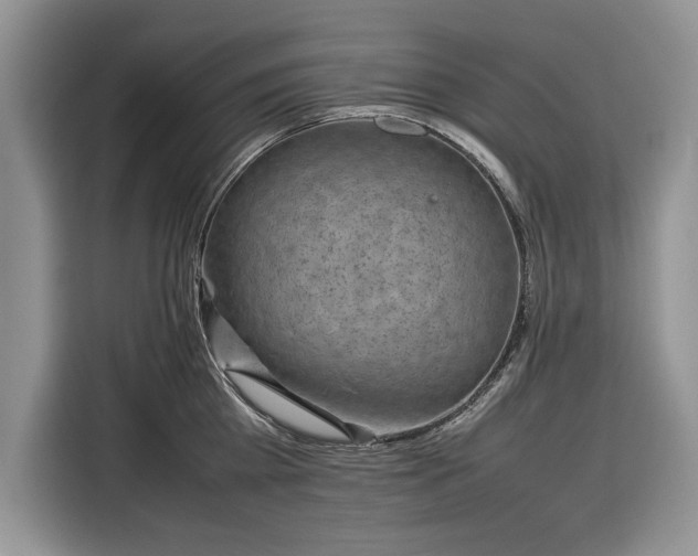 X0000116350809200912091128