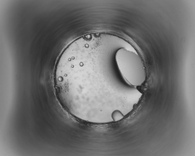 X0000116350810200912091128