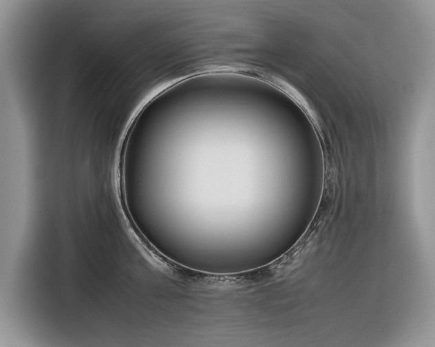 X0000116350811200912091128