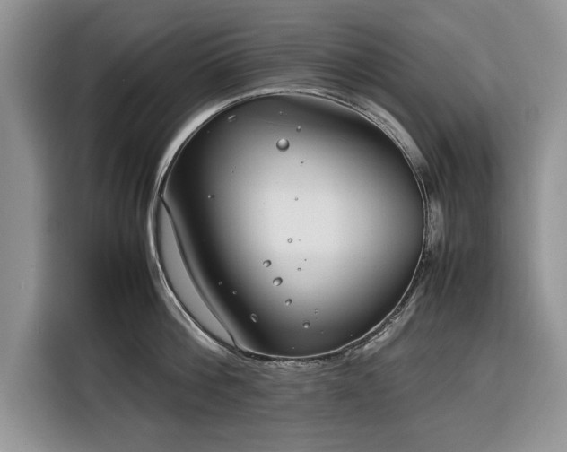 X0000116350812200912091128