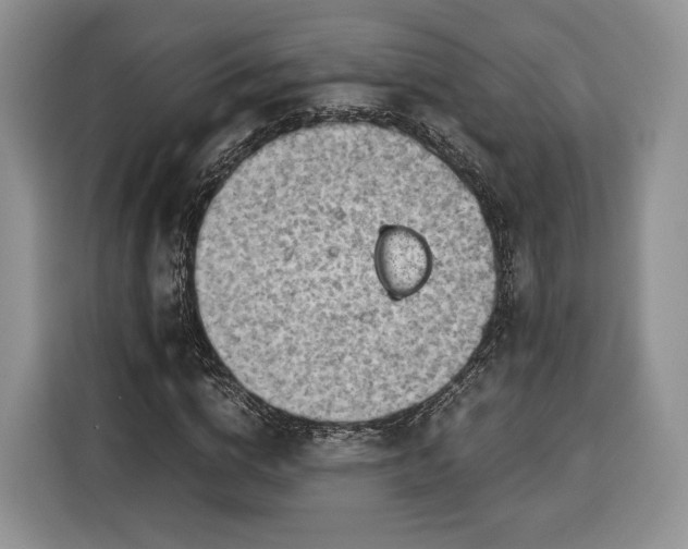 X0000116350824200912091128