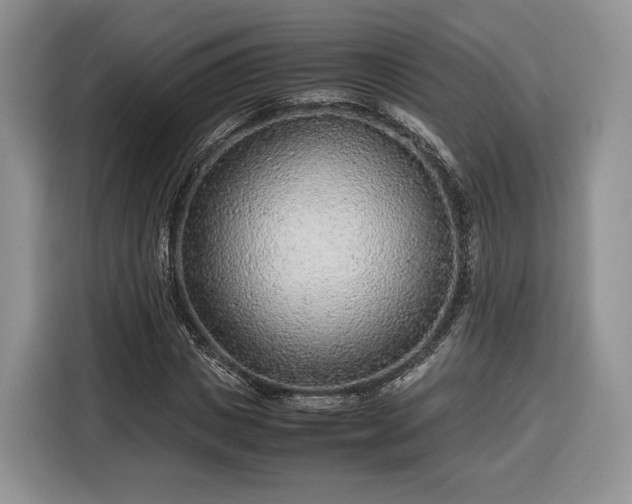 X0000116350825200912091128