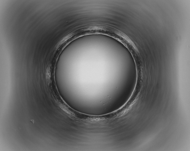 X0000116350826200912091128