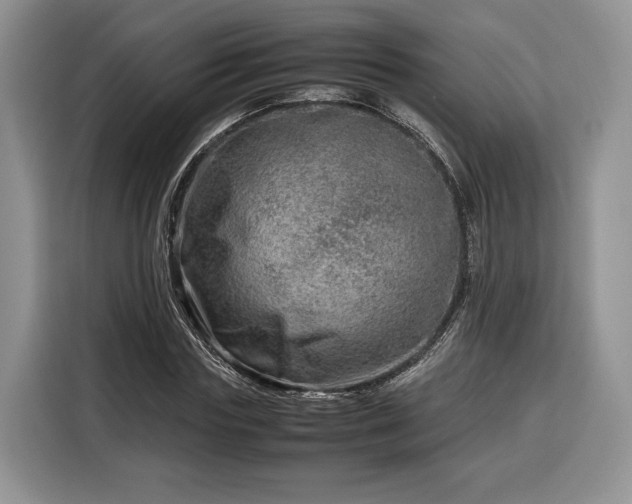 X0000116350827200912091128