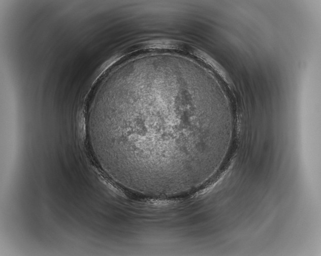 X0000116350829200912091128