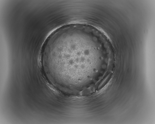 X0000116350830200912091128