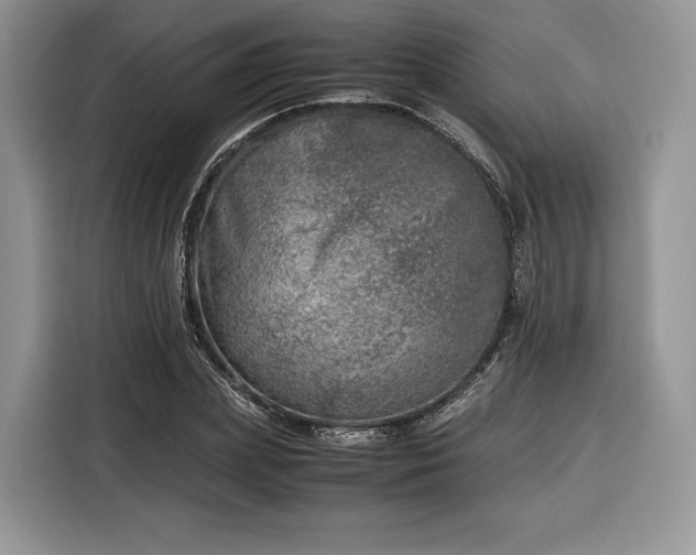 X0000116350831200912091128