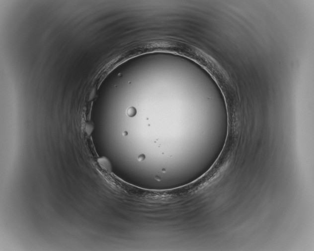 X0000116350833200912091128