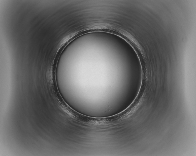 X0000116350834200912091128