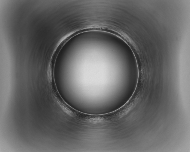 X0000116350838200912091128