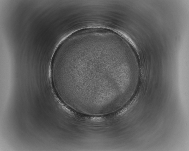 X0000116350839200912091128