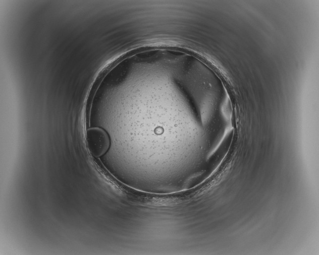 X0000116350840200912091128