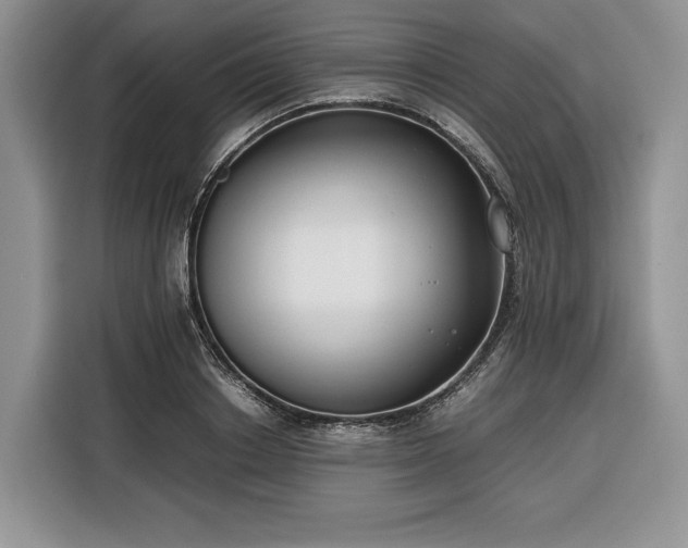 X0000116350842200912091128