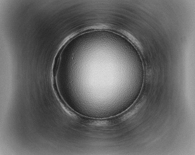 X0000116350845200912091128