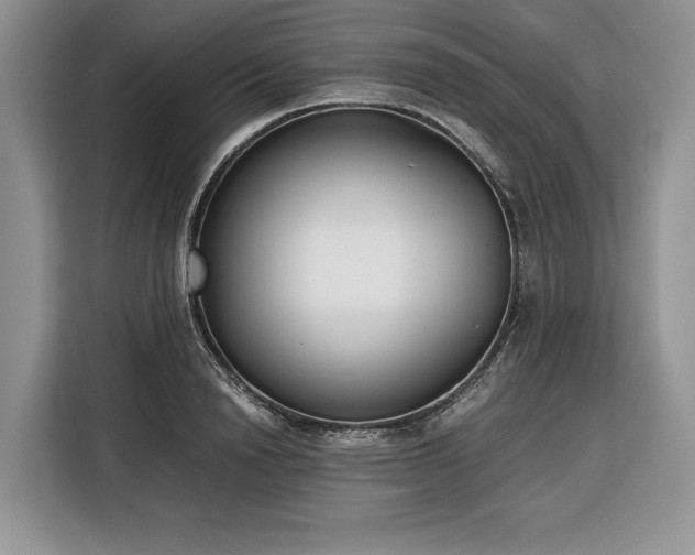 X0000116350846200912091128