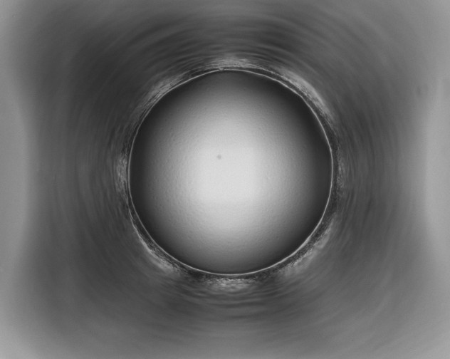 X0000116350849200912091128