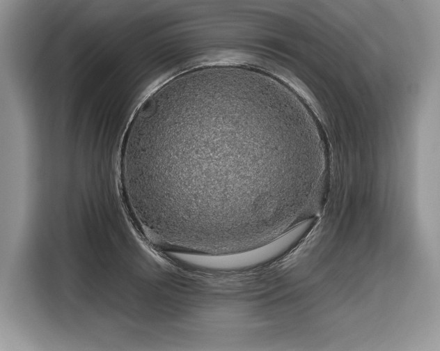 X0000116350850200912091128