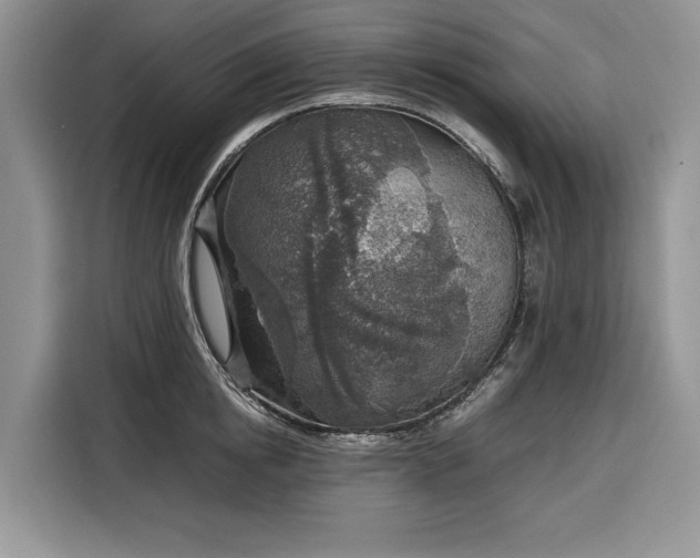 X0000116350854200912091128