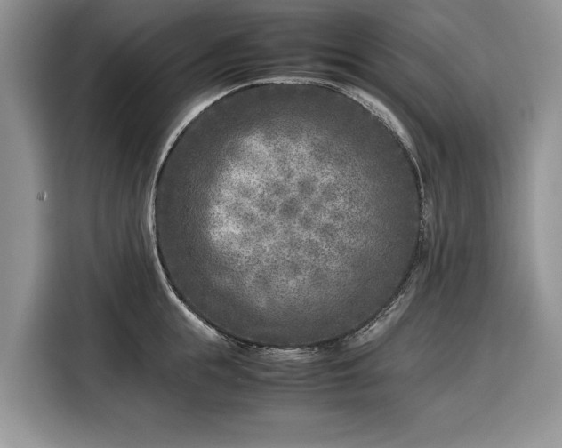 X0000116350855200912091128