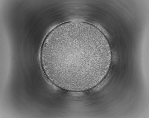 X0000116350856200912091128