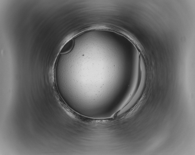 X0000116350858200912091128