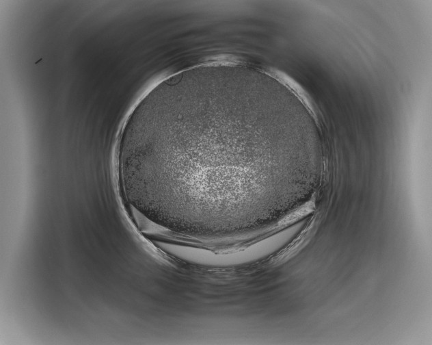 X0000116350859200912091128