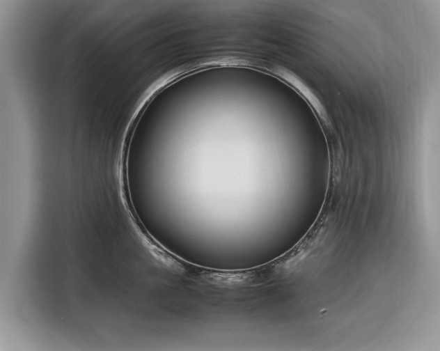 X0000116350861200912091128